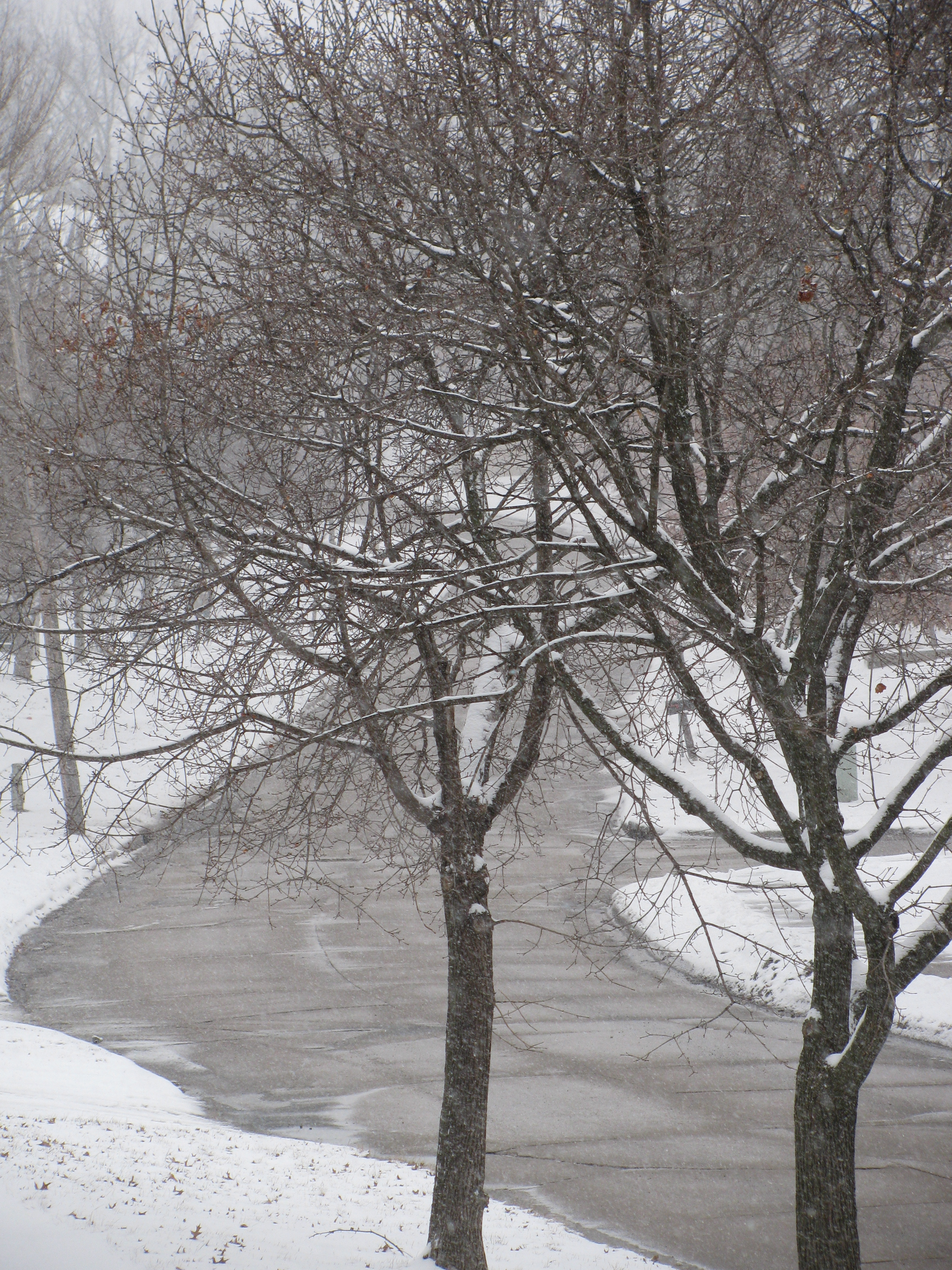 Snowtime