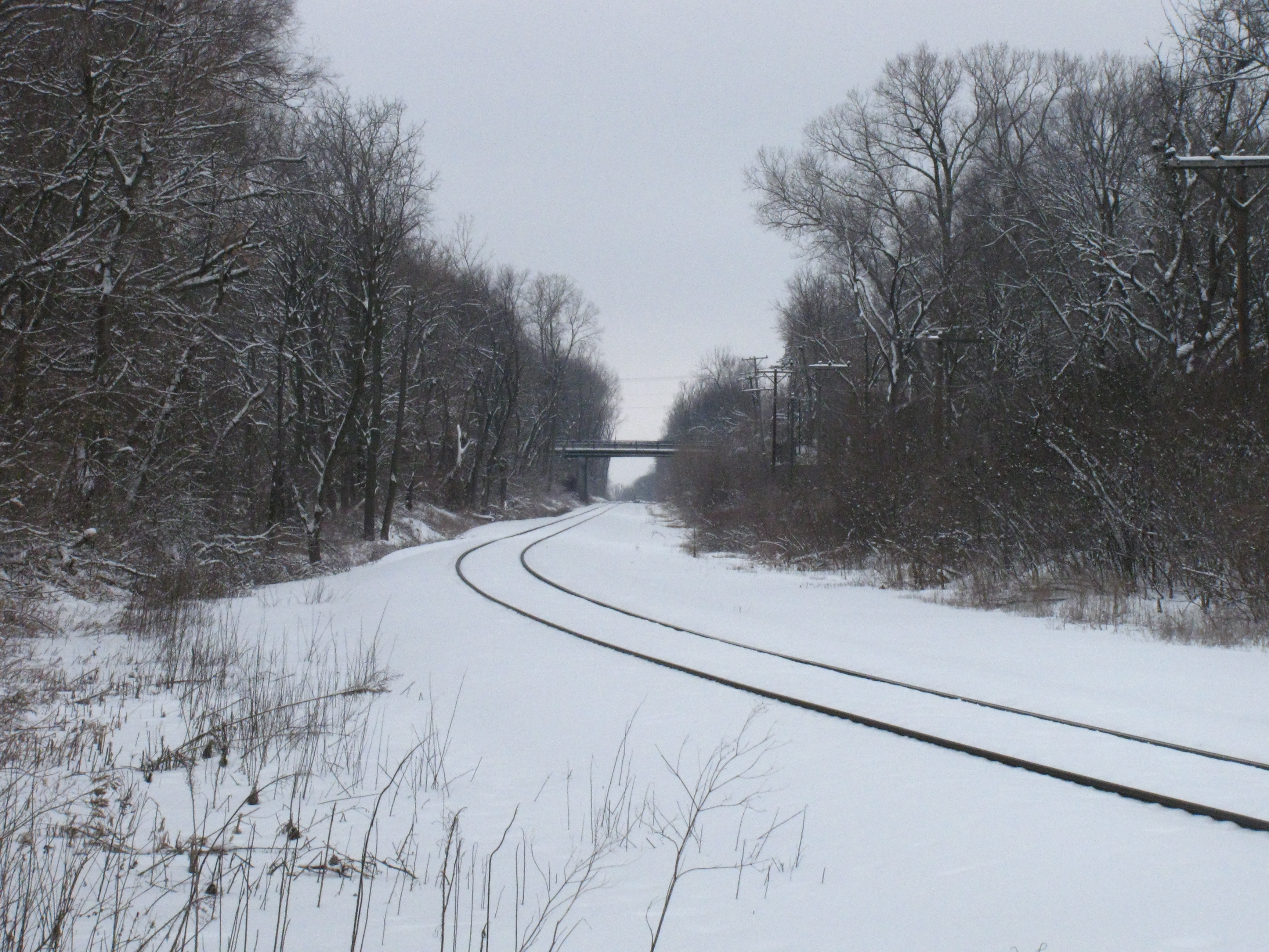 Snow March Walk